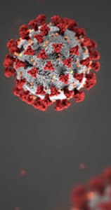 COVID19 Image Reduced